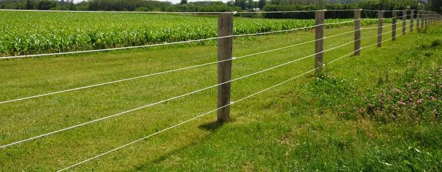 Going Solar with Your Fence Charger. Learn how to harness the sun's energy to power your electric fence and protect your livestock efficiently and sustainably. Find step-by-step instructions, tips, and expert advice on selecting, installing, and maintaining solar-powered fence chargers. Start your journey towards eco-friendly and cost-effective fencing today!