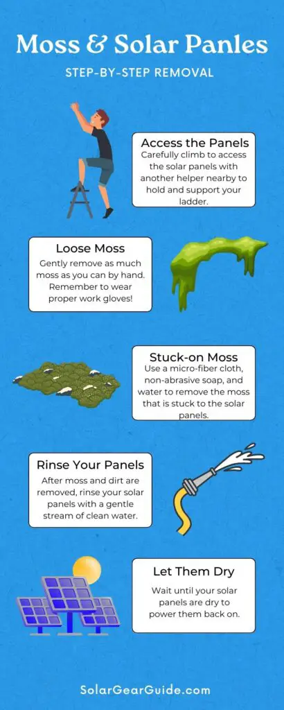Moss on solar panels infographic