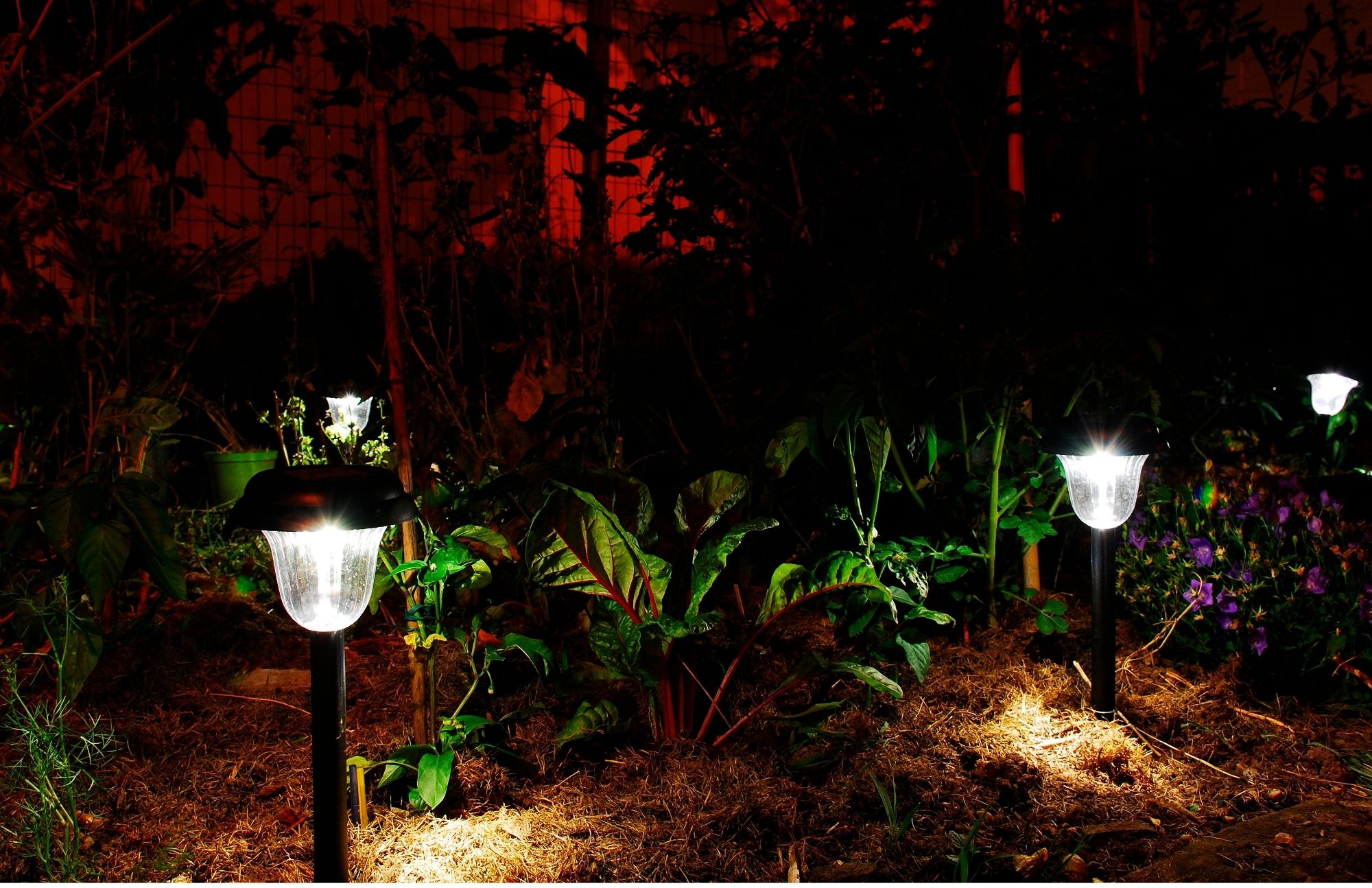  why do solar lights stop working at night solar gear guide